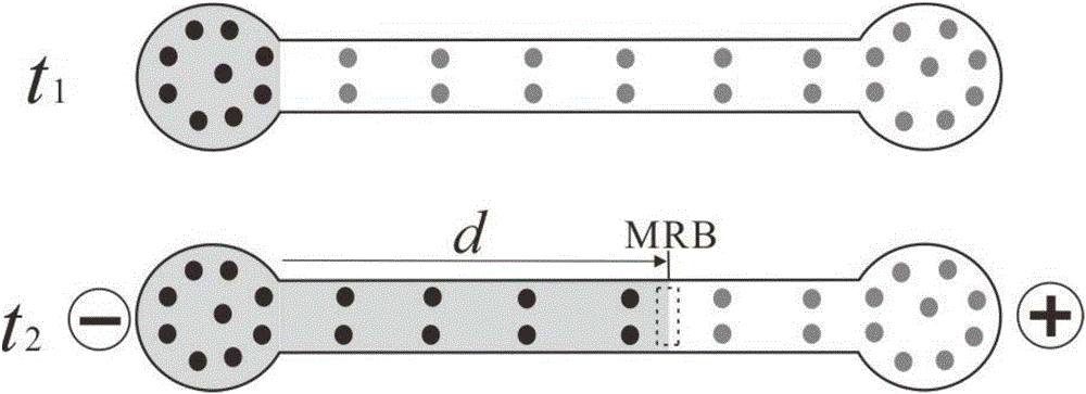 Quantitative enzyme-linked immunoabsorbent assay method based on moving reaction boundary electrophoresis titration