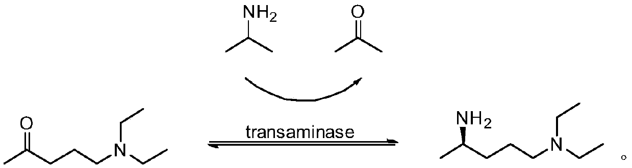 Preparation method of (R)-N1,N1-diethyl-1,4-pentanediamine
