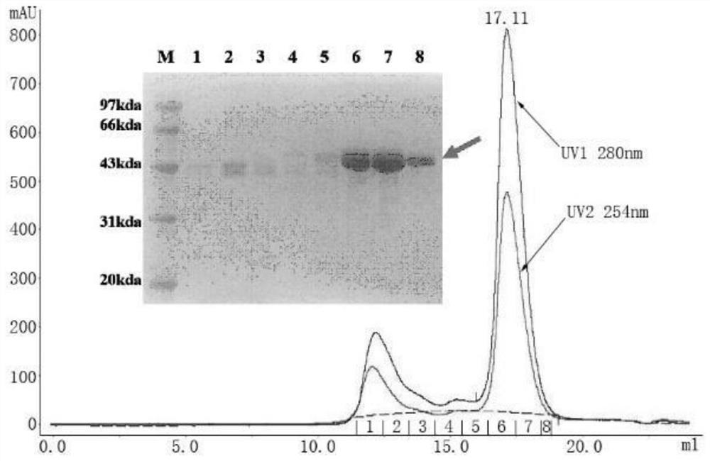 Rift valley fever virus humanized monoclonal antibody and application thereof