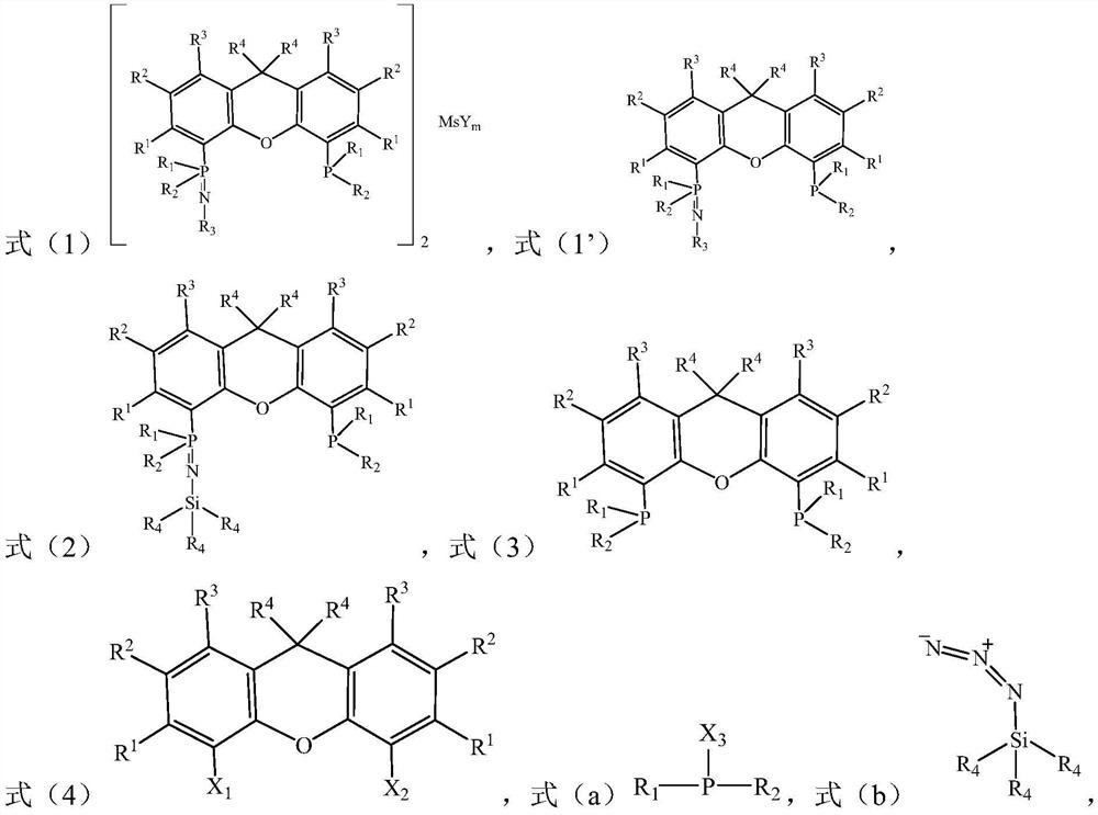 Heteronuclear bimetallic complex and its preparation method and its application in the preparation of bimodal distribution olefin polymer