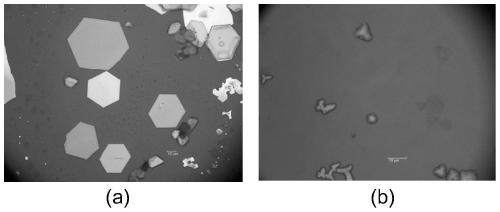 Preparation method of highly stable lead-based organic-inorganic hybrid perovskite nano sheet