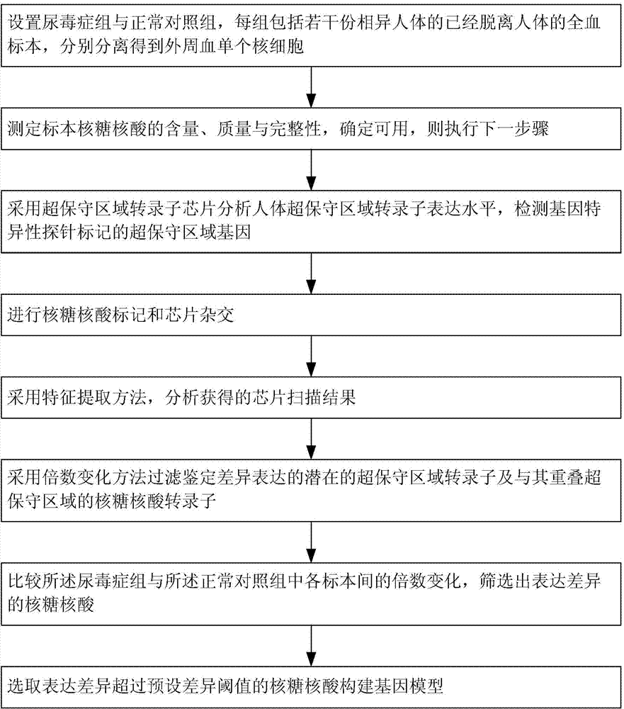 Method for constructing transcription expression gene model of ultra-conserved region of uremic peripheral blood mononuclear cell, and application of model