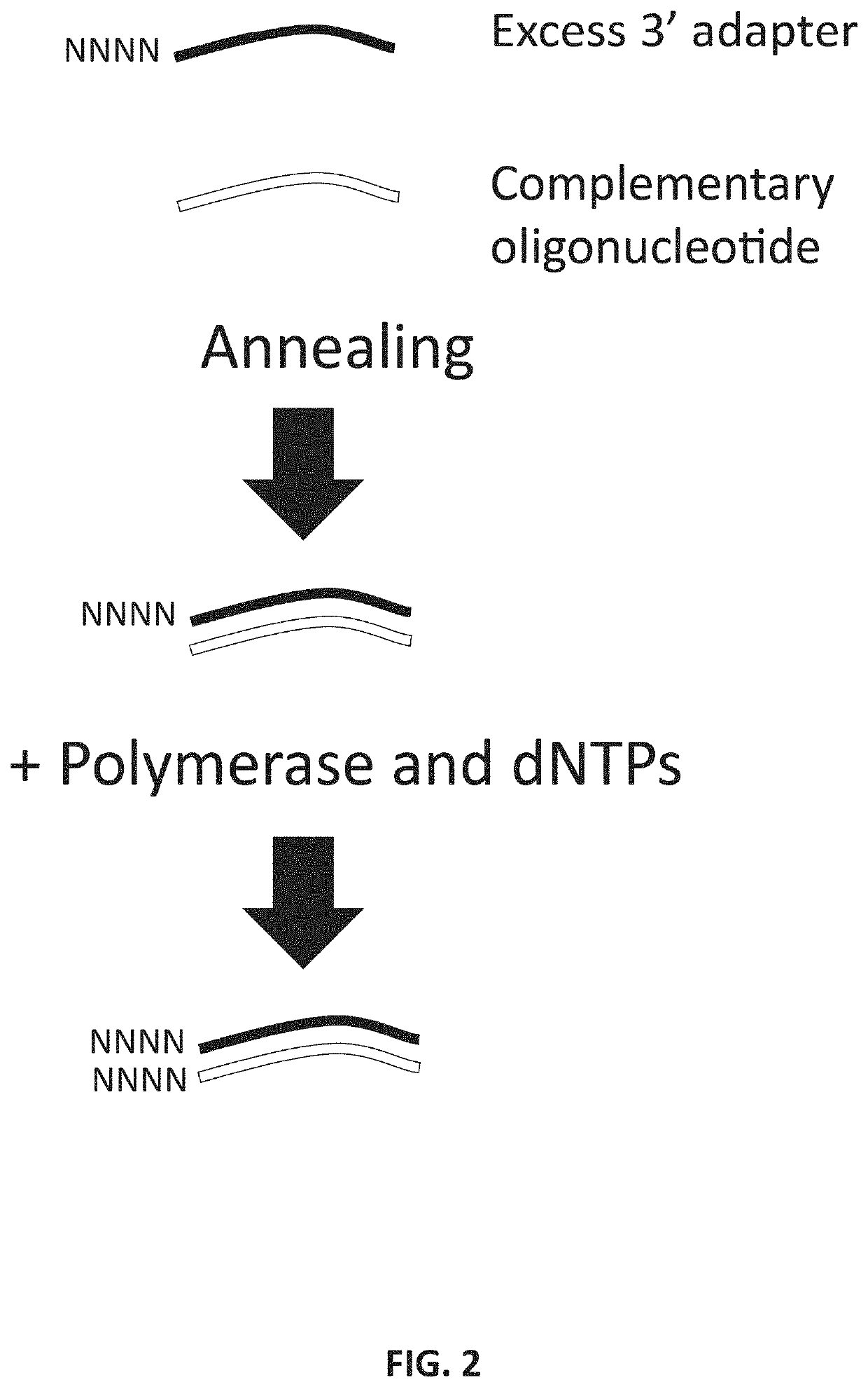 Methods and kits for reducing adapter-dimer formation