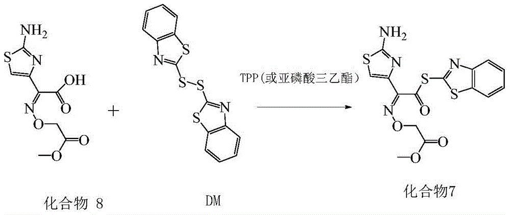 A kind of synthetic method of cefixime