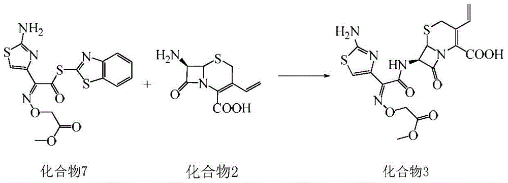 A kind of synthetic method of cefixime