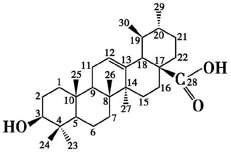 A class of indole ursolic acid derivatives, preparation method and use thereof