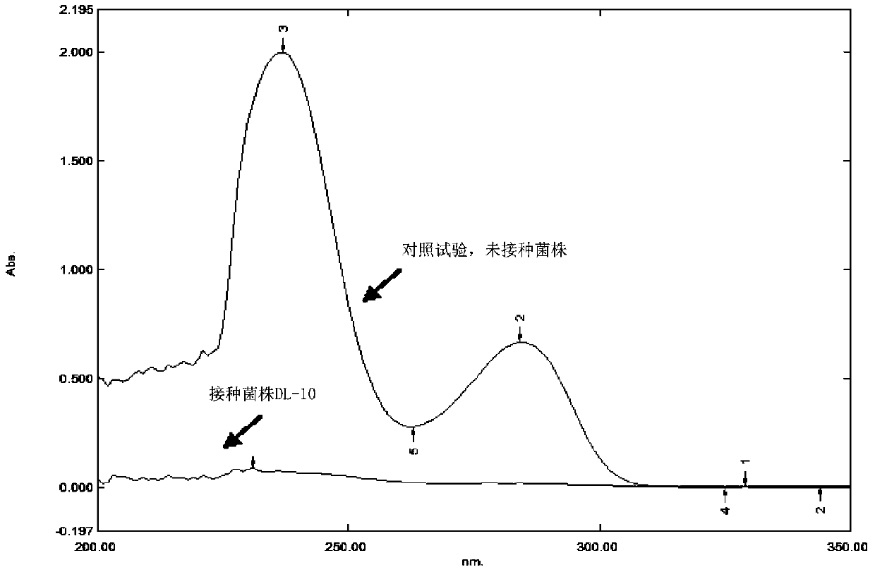 A bacterial strain for degrading phenolic compounds and its application