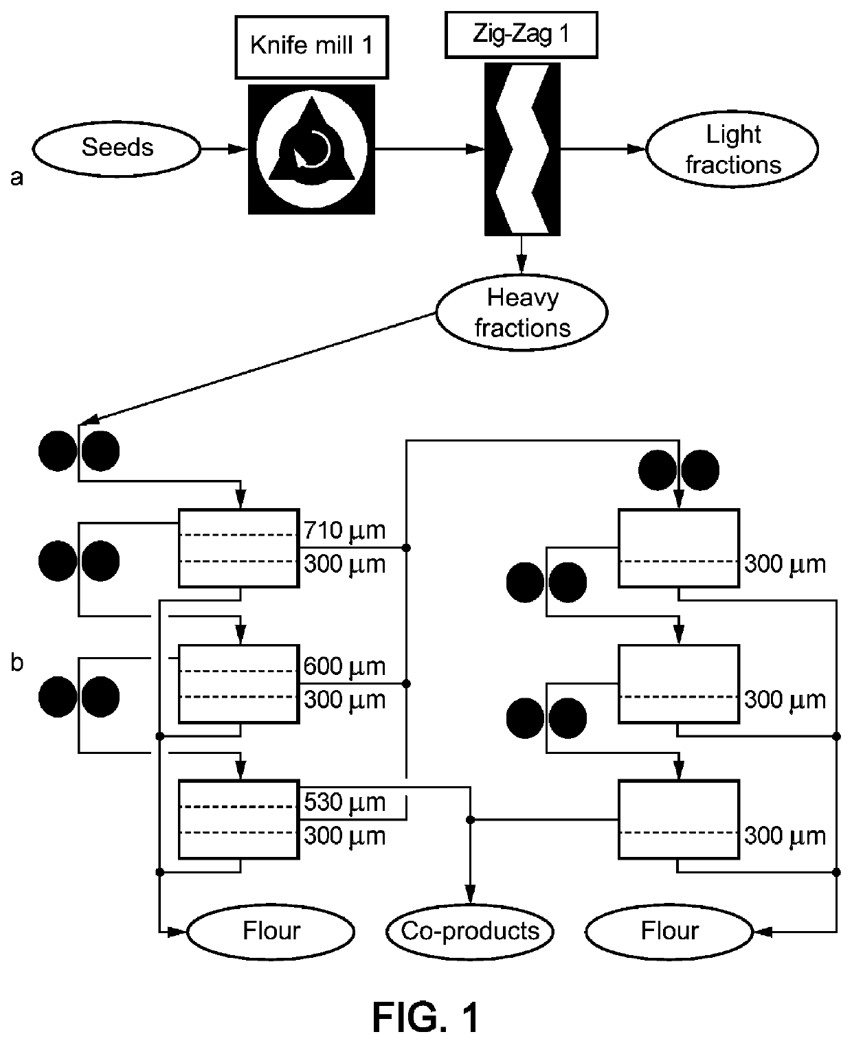 Field bean protein composition