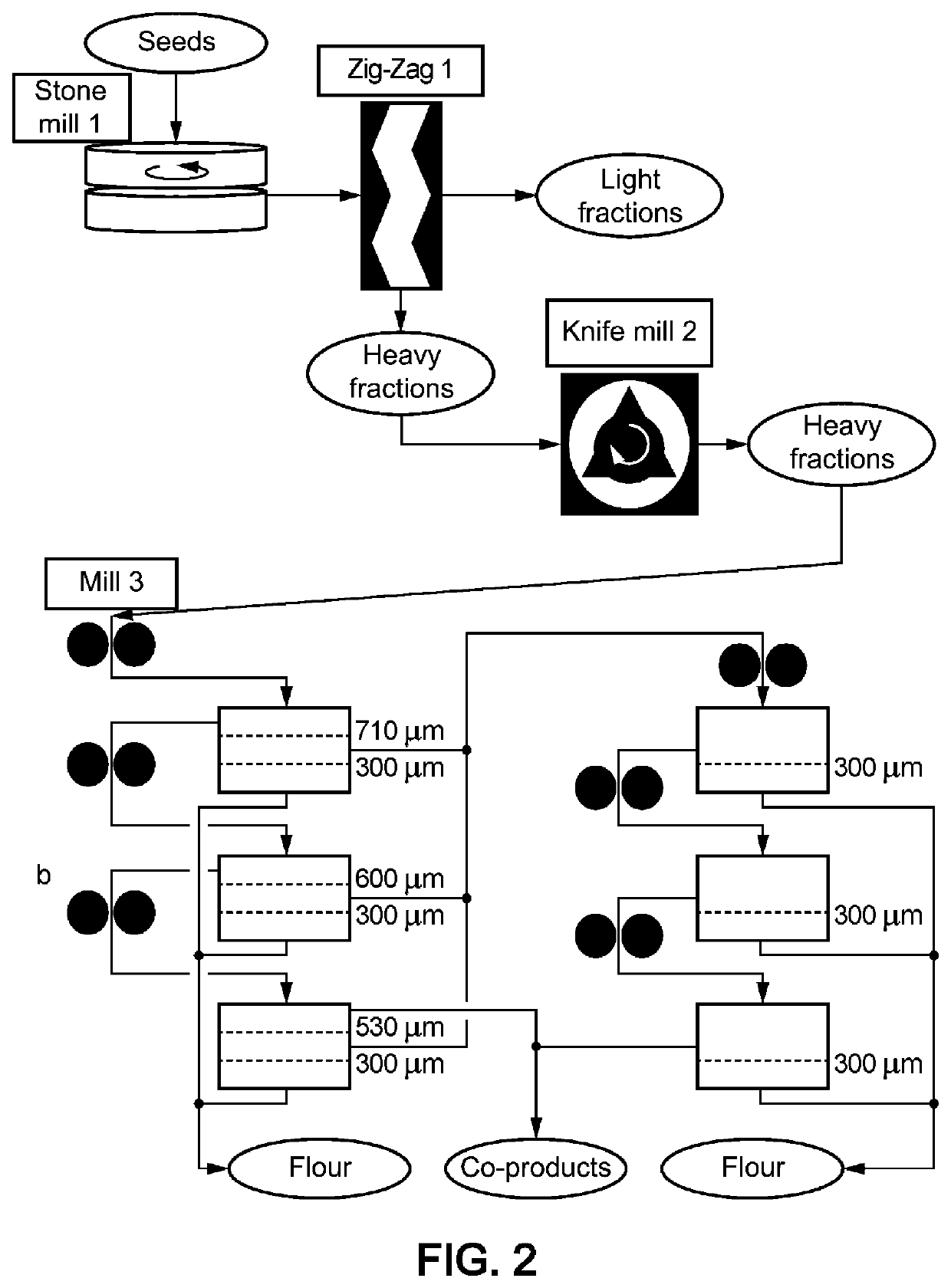 Field bean protein composition