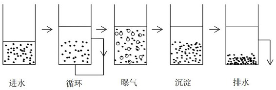 Culture method of biological phosphorus removal granular sludge