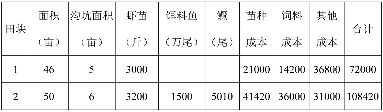 Rice field crop rotation ecological mode for rice-shrimp intergrowth and mandarin fish co-cultivation