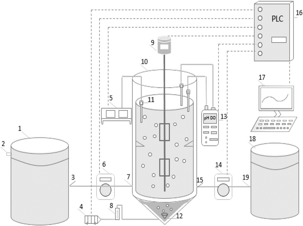 Device and method for autotrophic advanced nitrogen removal biological treatment of mature landfill leachate