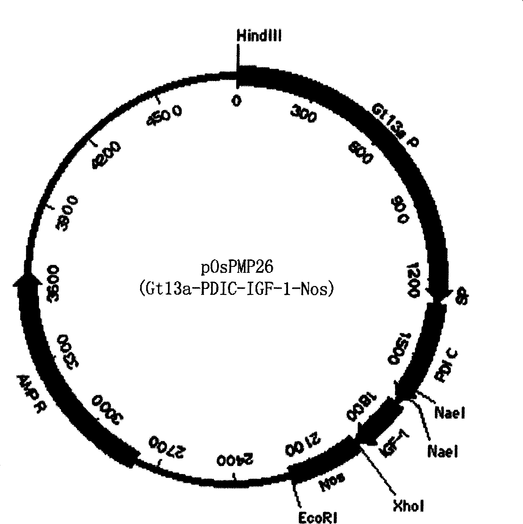 Method and uses for expressing polypeptide in endosperm using cereal non-storage protein as fusion vector