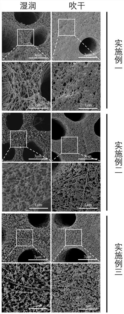 Dental adhesive pretreatment system based on copper and zinc ions and application