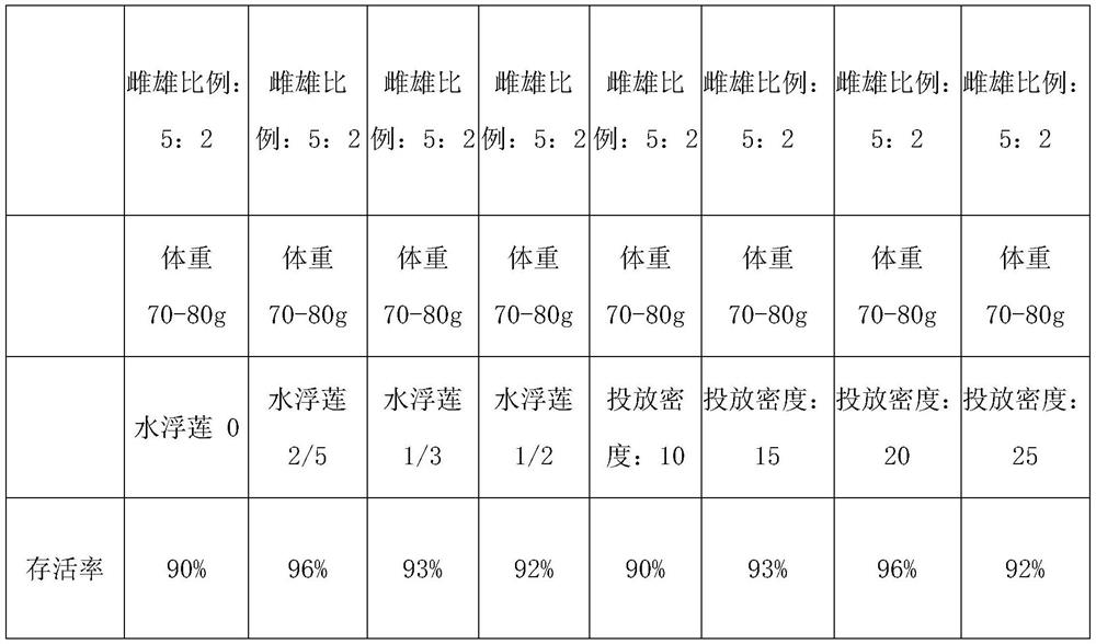 Method for performing in situ breeding of cherax quadricarinatus through planting regions of paddy fields in slack winter season