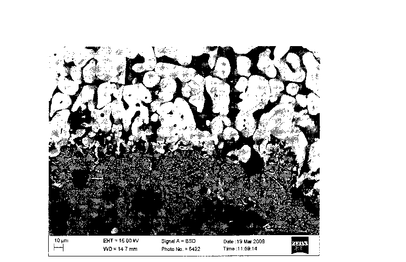 Antioxidant coating applied to high-temperature alloy heat treatment