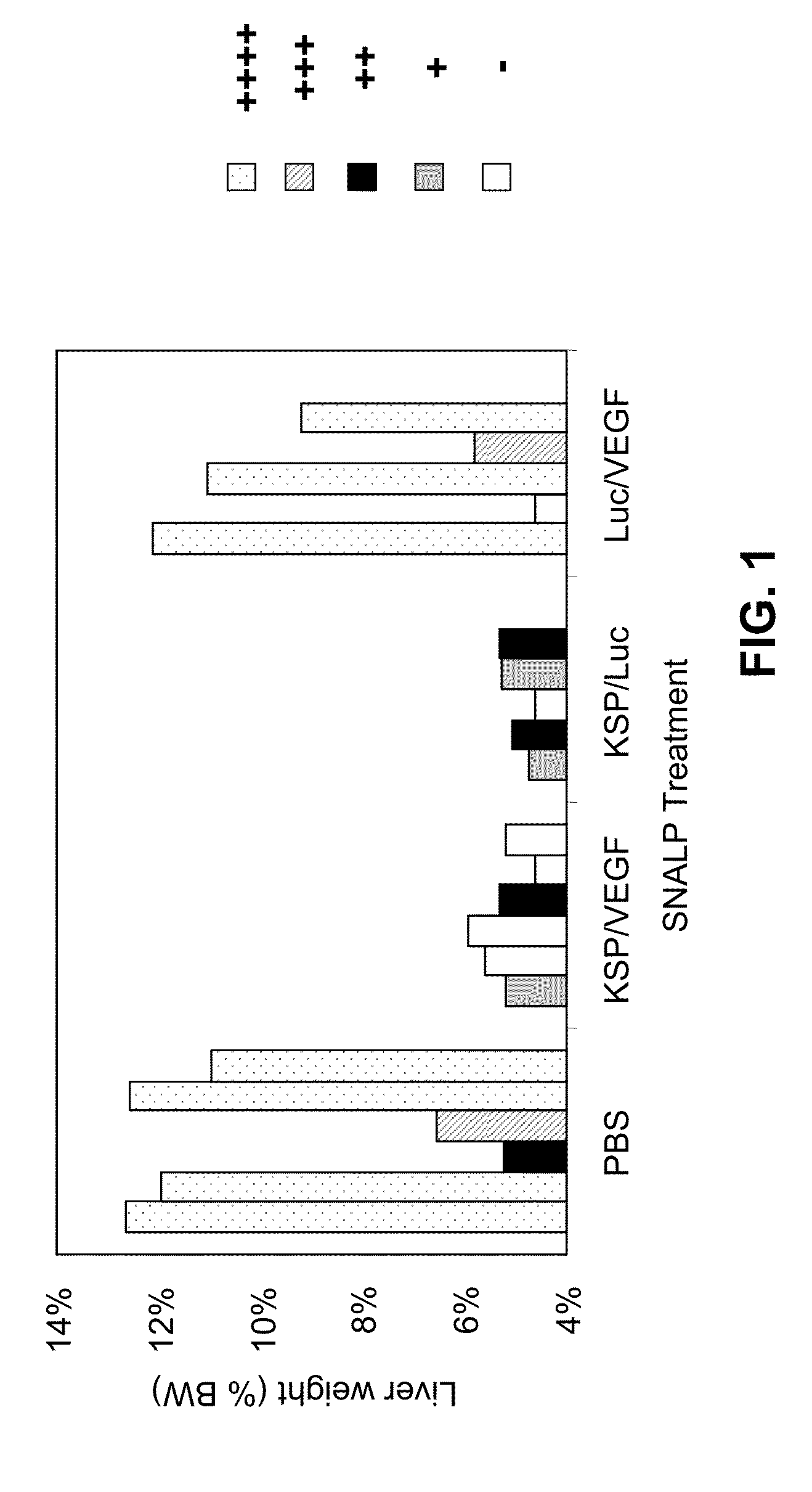 COMPOSITIONS AND METHODS FOR INHIBITING EXPRESSION OF Eg5 AND VEGF GENES