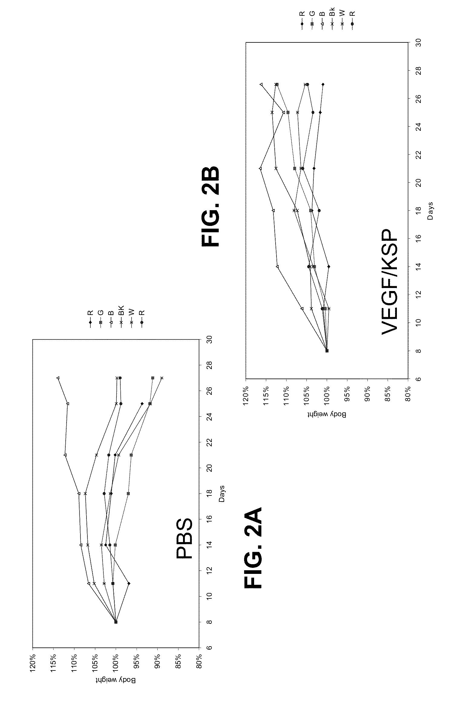 COMPOSITIONS AND METHODS FOR INHIBITING EXPRESSION OF Eg5 AND VEGF GENES