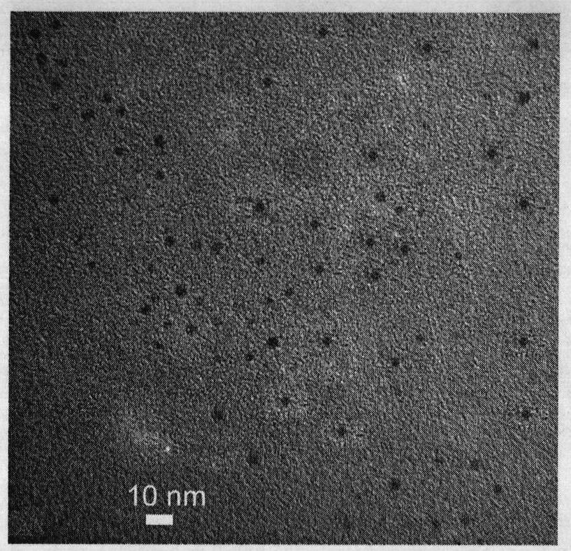 Synthesis and application of citrate-covered water soluble CdS nanomaterial