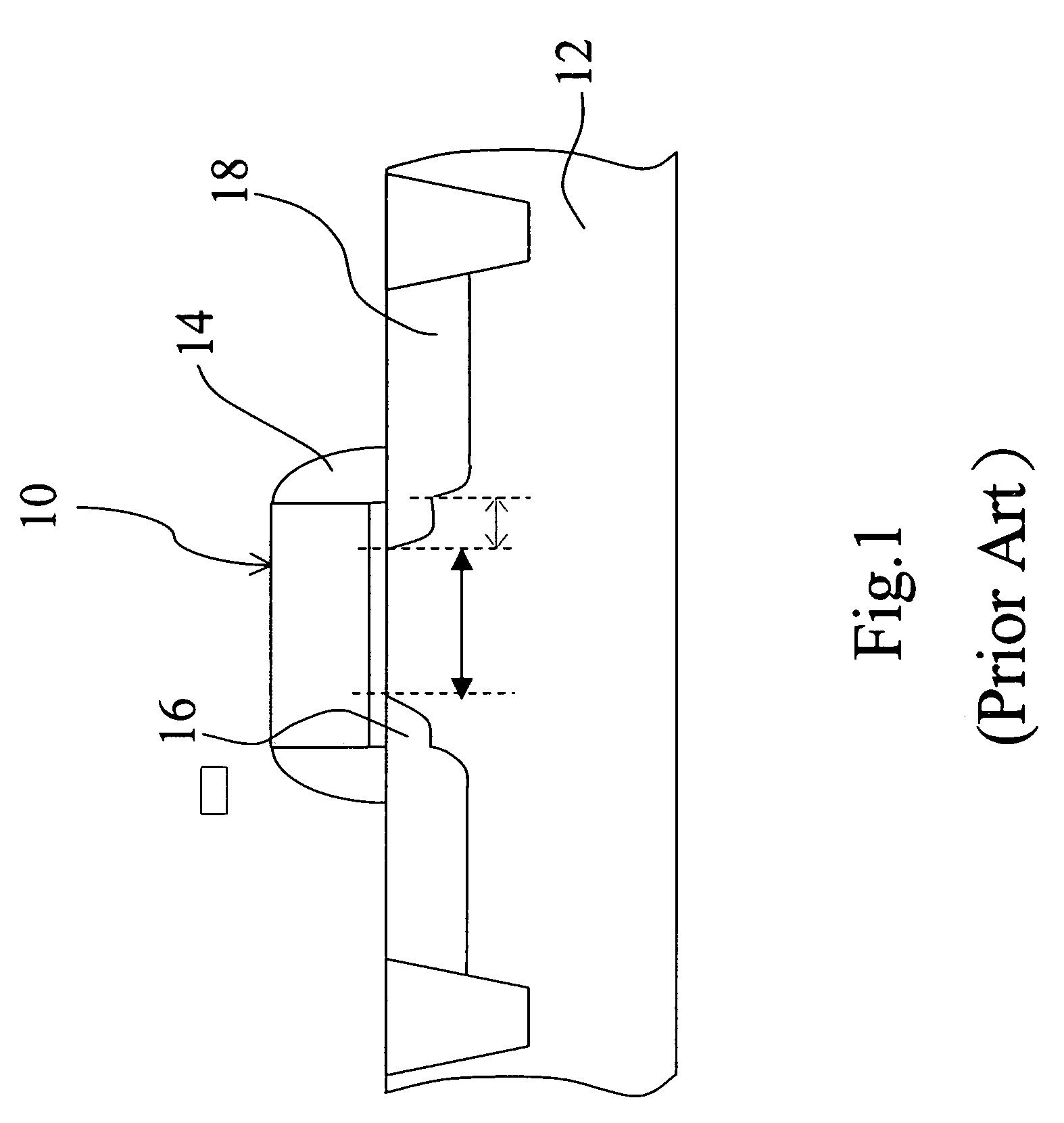 Ion doping method to form source and drain