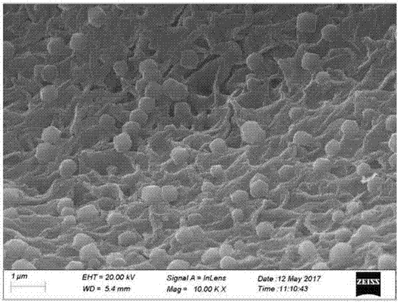 Preparation and application of cobalt and nitrogen co-doped porous carbon microsphere material