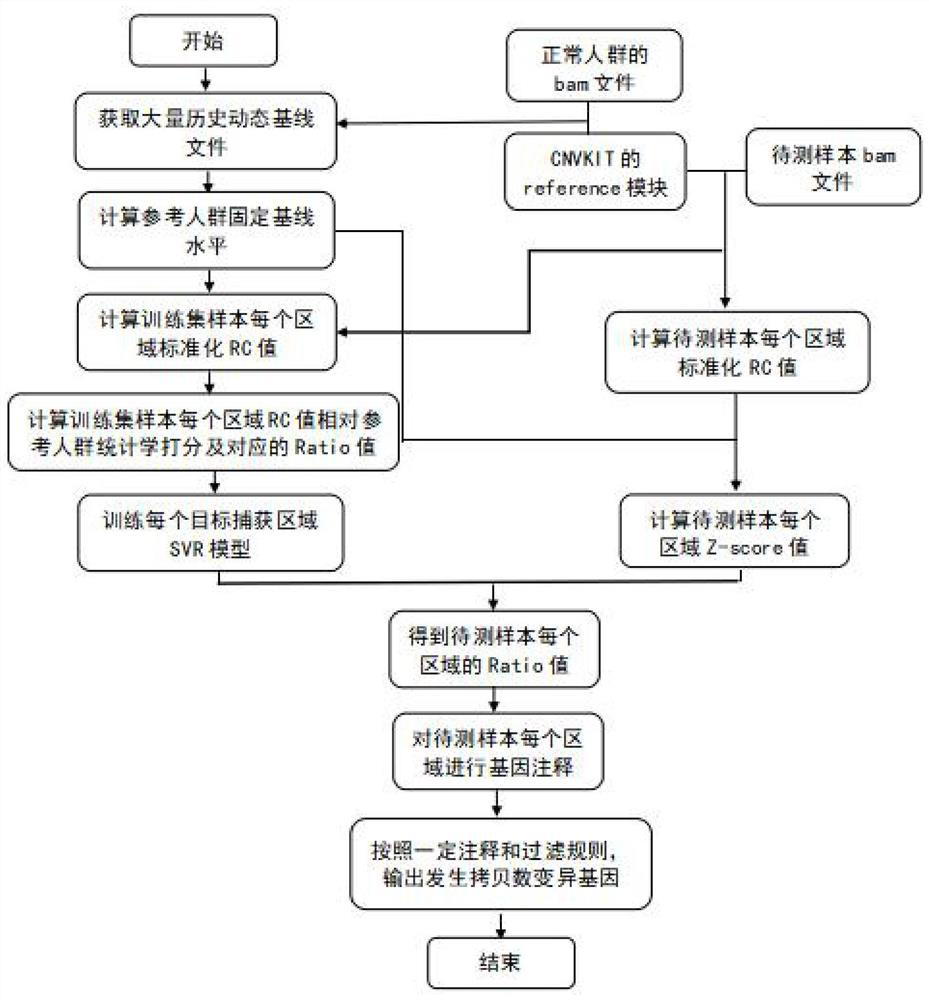 A single-sample tumor DNA copy number variation detection method and device