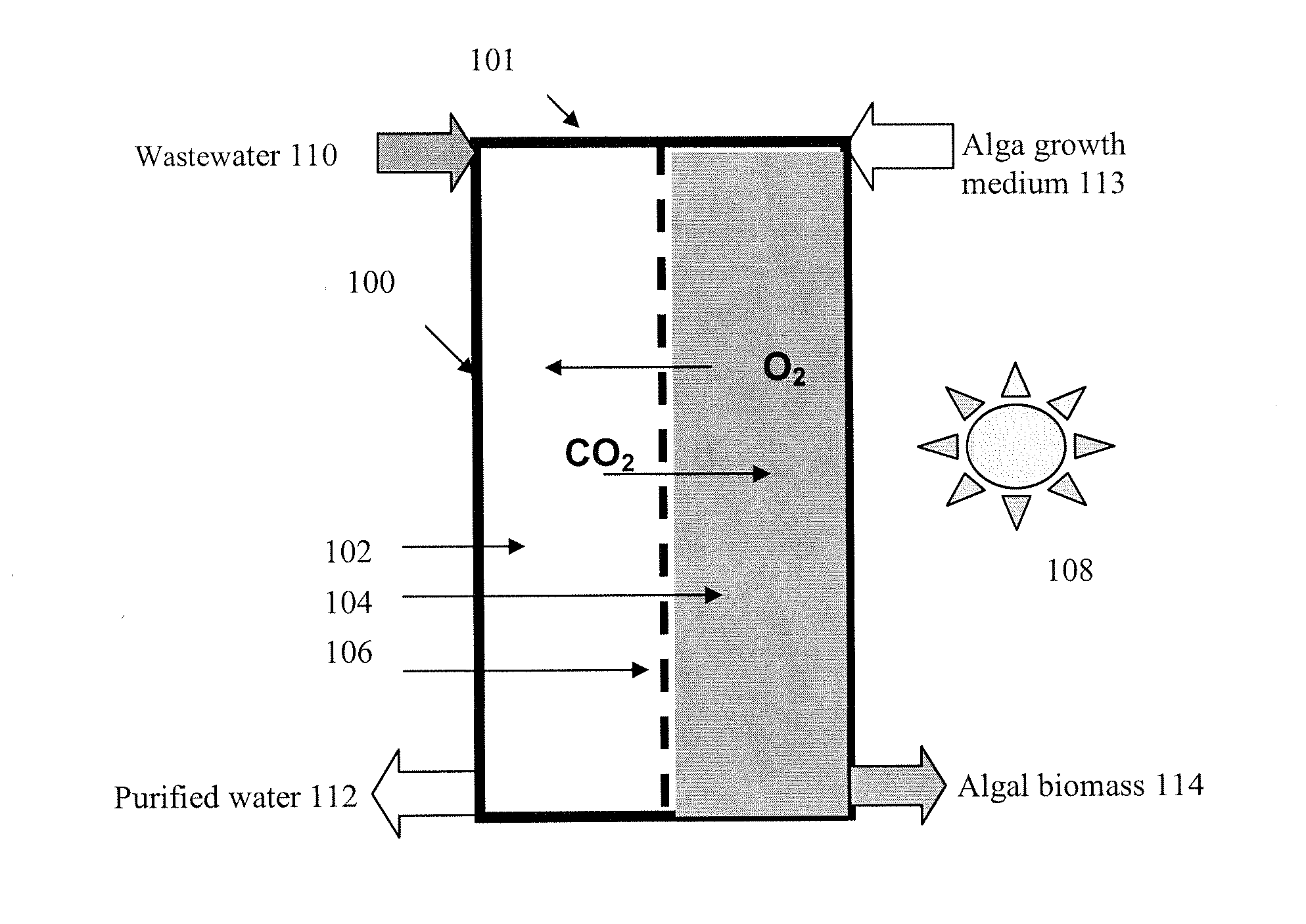 Reactor and method for treating contaminated water