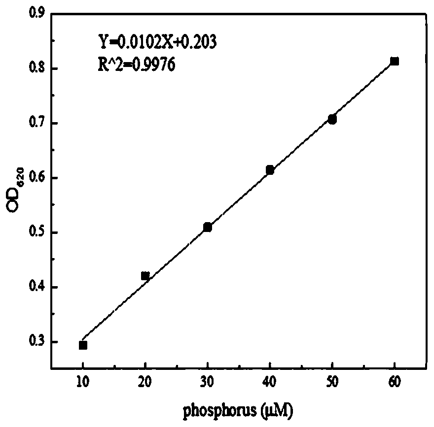 S-adenosylmethionine synthetase mutant and high-throughput screening method thereof
