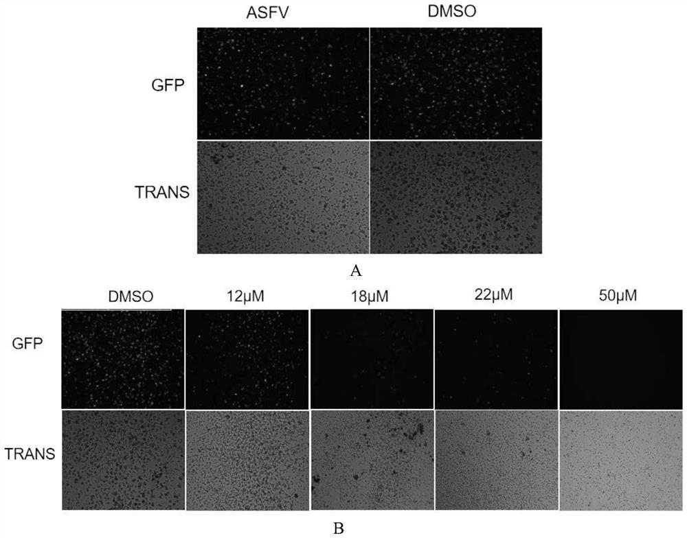 Application of the compound cyproheptadine hydrochloride in the preparation of drugs for preventing or treating African swine fever