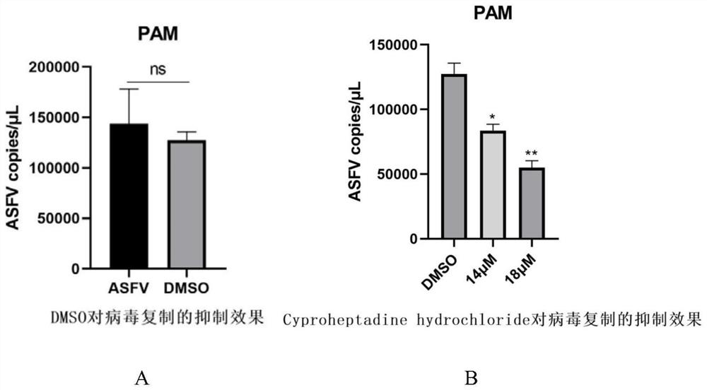 Application of the compound cyproheptadine hydrochloride in the preparation of drugs for preventing or treating African swine fever