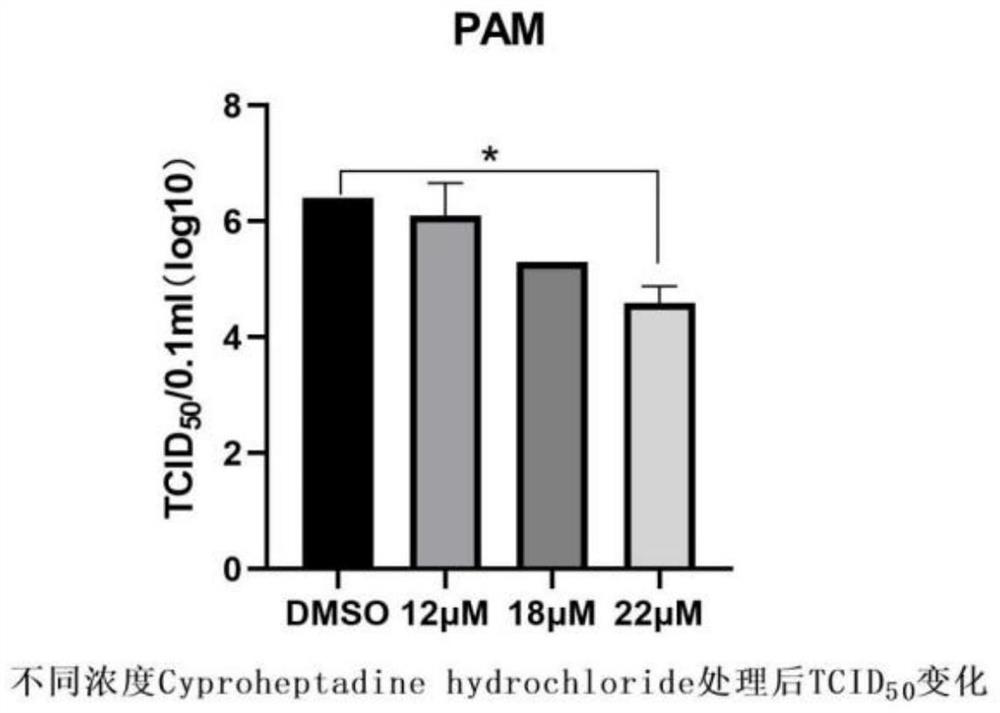 Application of the compound cyproheptadine hydrochloride in the preparation of drugs for preventing or treating African swine fever