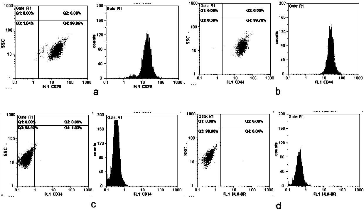 New method for using overexpression IL8RA/B to promote mesenchymal stem cell to directionally move towards injured blood vessel endothelium