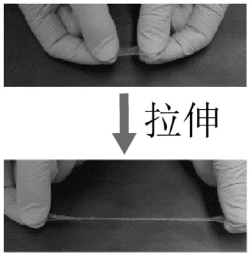 Antifreeze polysaccharide composite starch hydrogel, preparation method and application