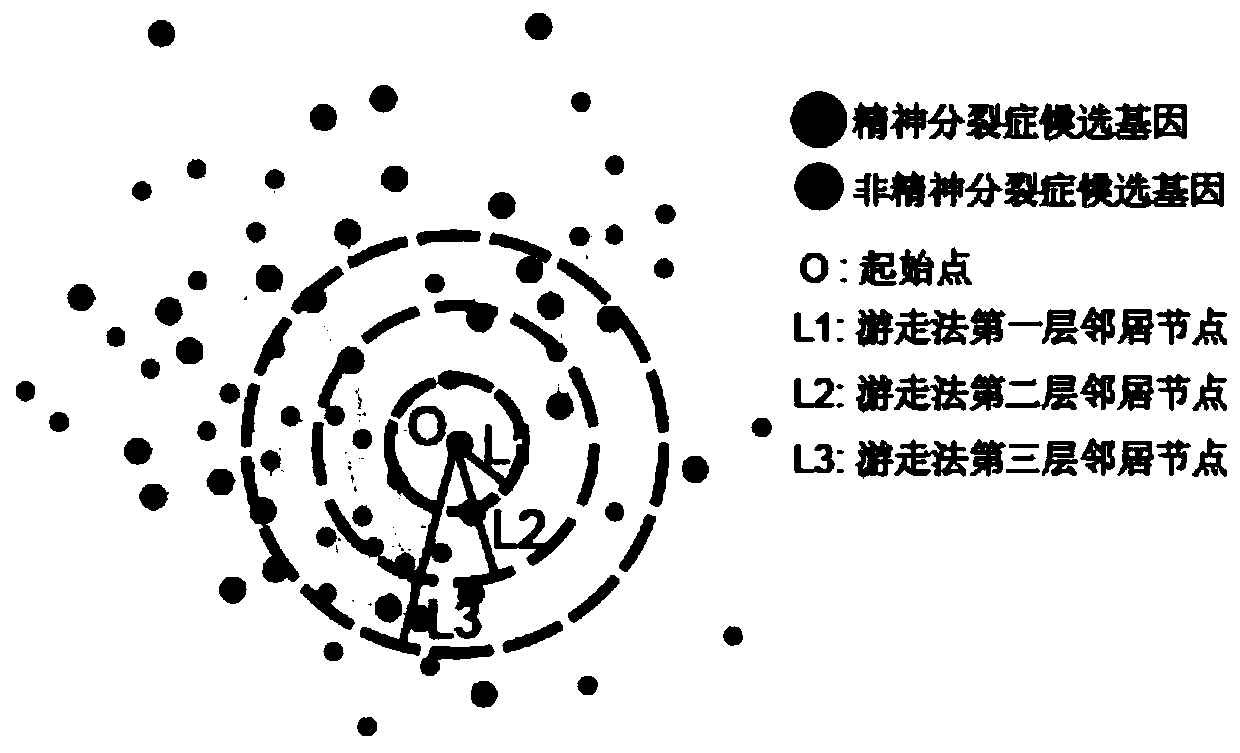 Schizophrenia gene-gene interaction network and construction method thereof