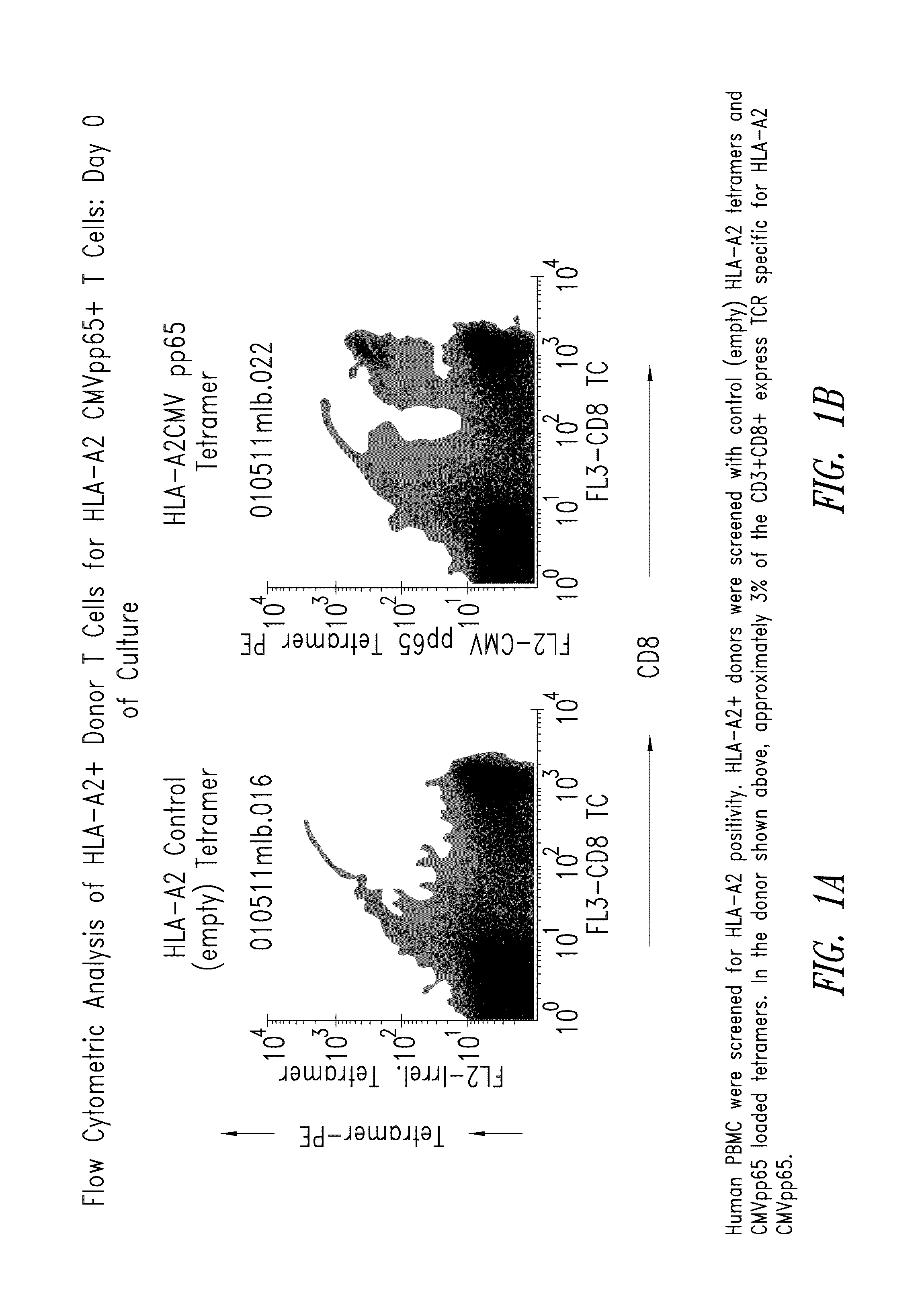 Methods for eliminating at least a substantial portion of a clonal antigen-specific memory T cell subpopulation