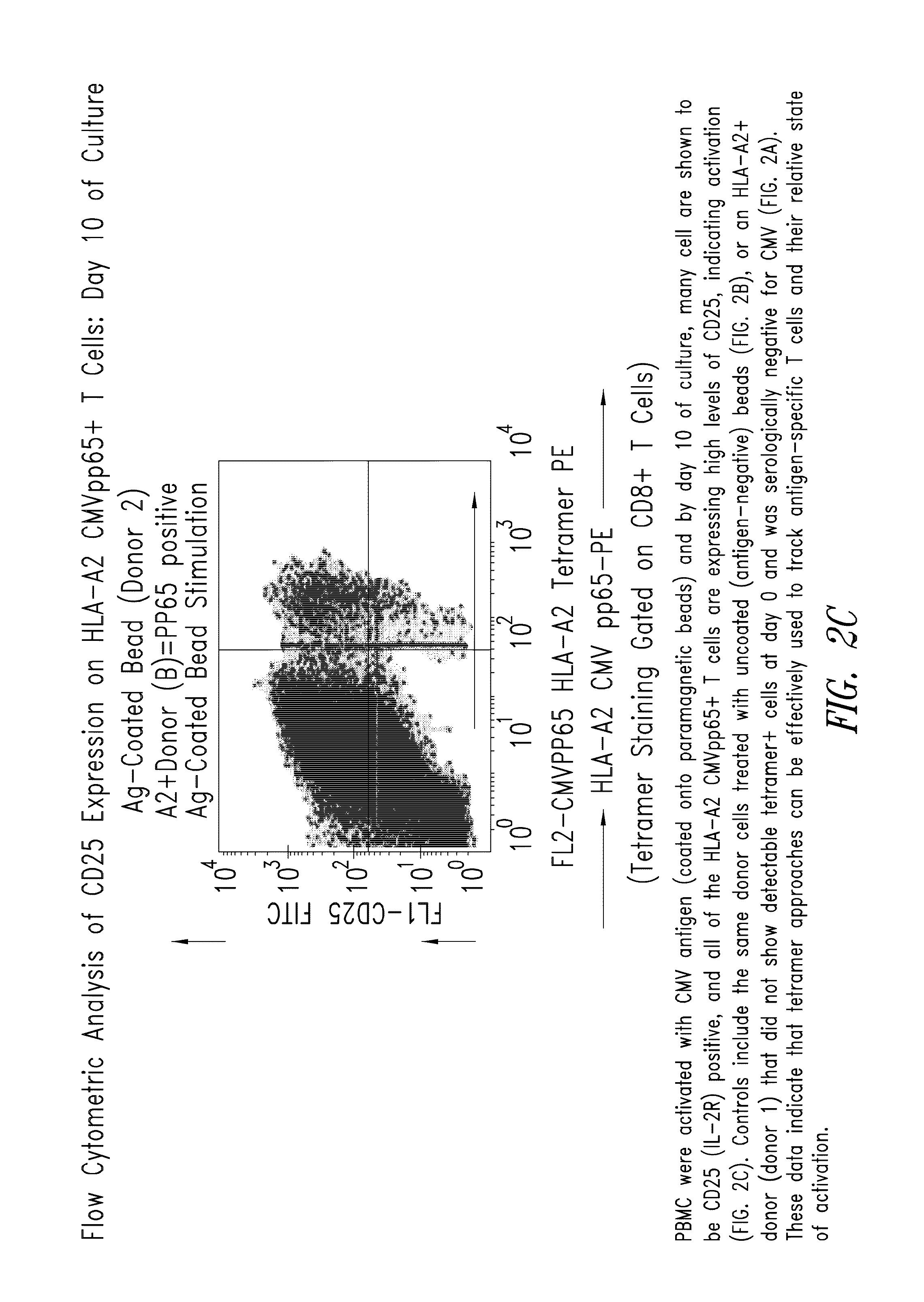 Methods for eliminating at least a substantial portion of a clonal antigen-specific memory T cell subpopulation