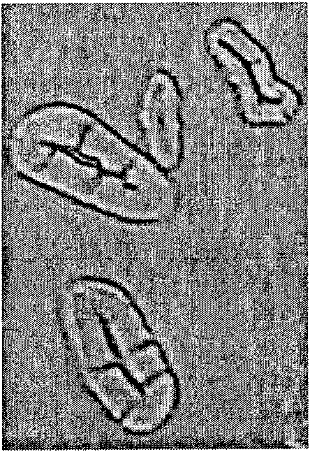 Resin embedding fiber method for detecting fiber form