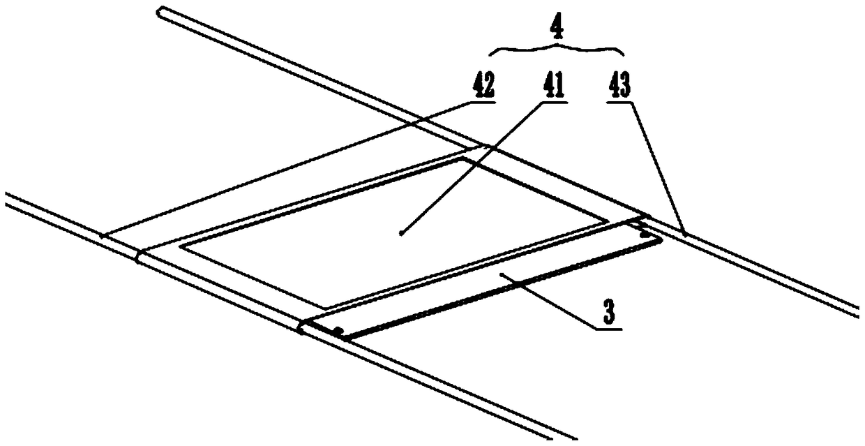 Double-sided scanning device for grain grain