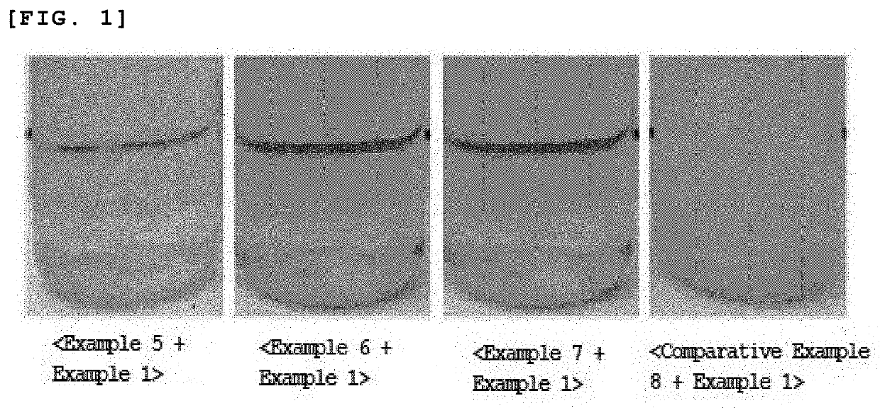 Transparent or semitransparent cosmetic composition having enhanced amentoflavone stability