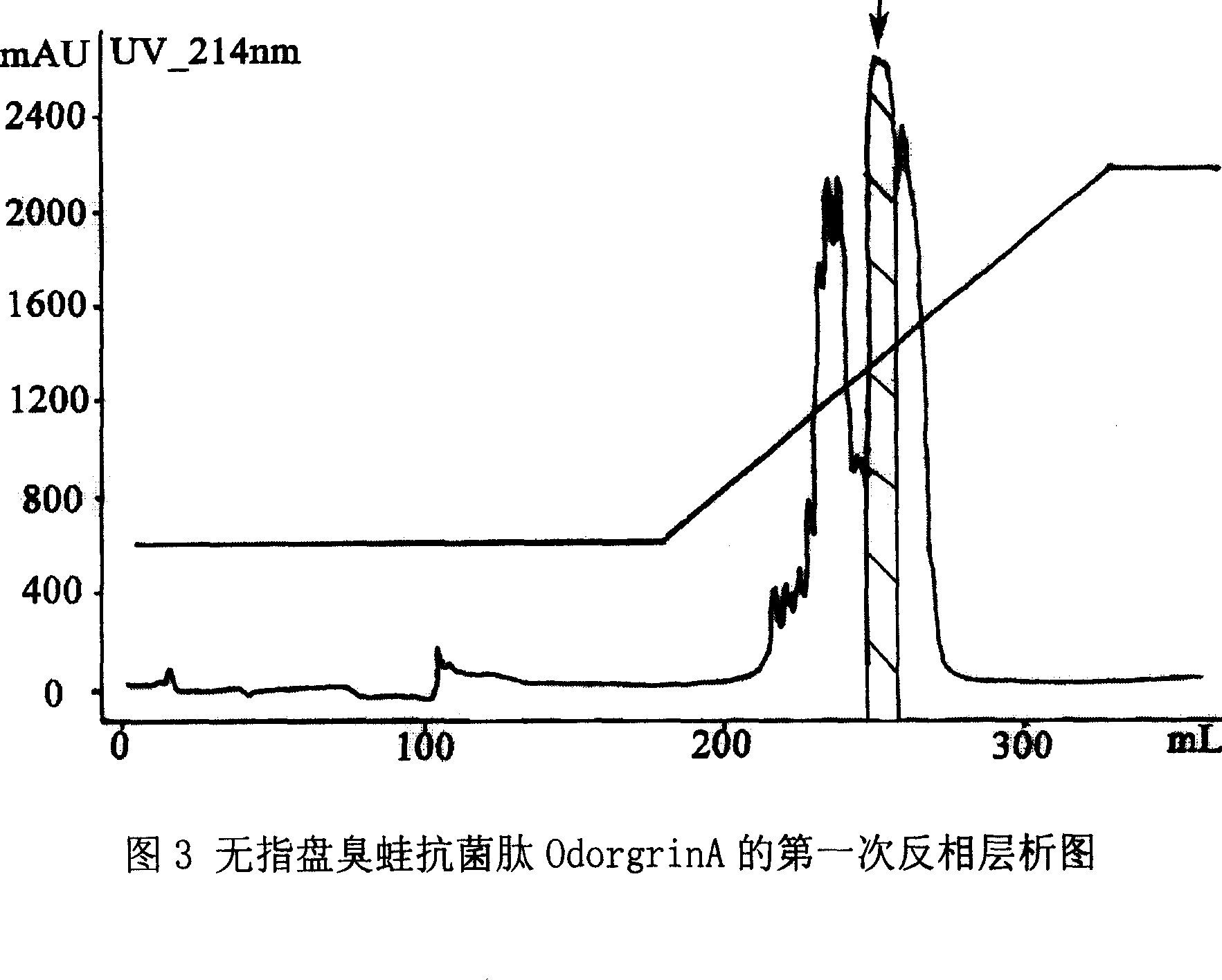 Rana grahami boulenger antibiotic peptide, preparation method and application thereof