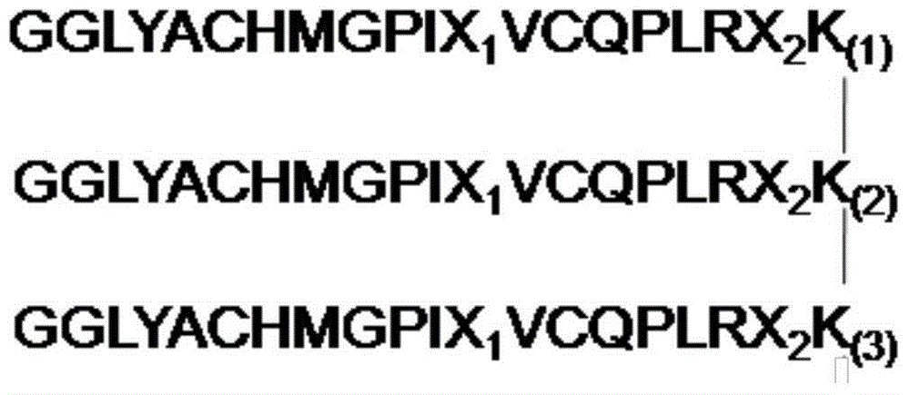 Erythropoietin mimic peptide derivative, and preparation method and application thereof