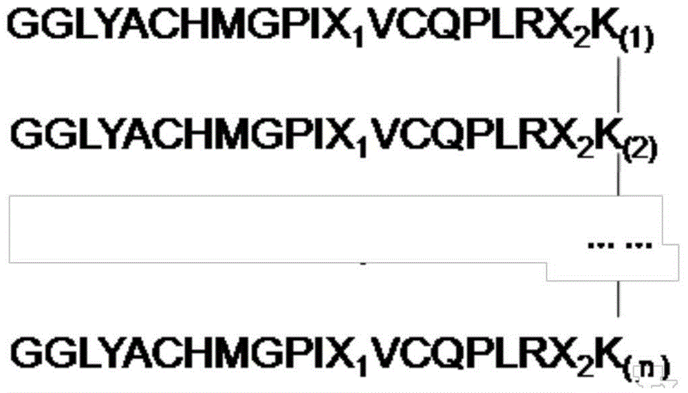 Erythropoietin mimic peptide derivative, and preparation method and application thereof