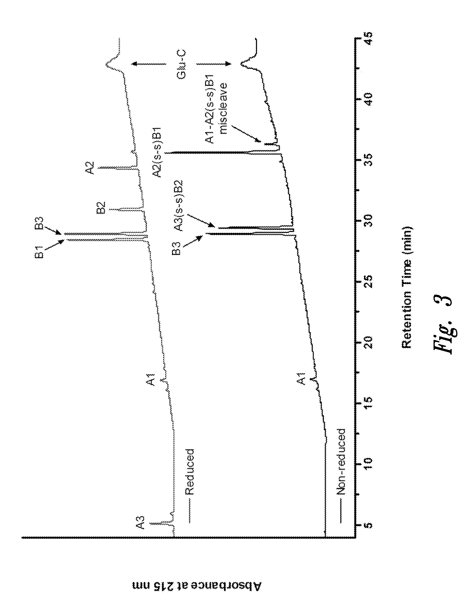 Polypeptide disulfide bond analysis