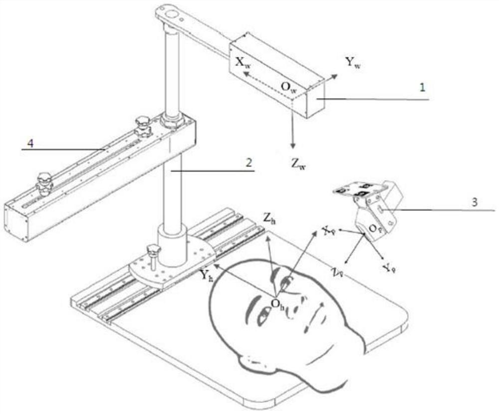 Precise positioning device and method for carotid ultrasound probe