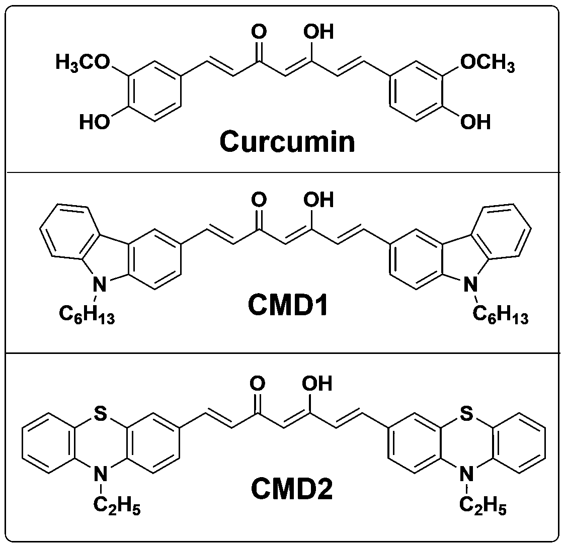 Application of curcumin derivatives in the field of visible light-curing