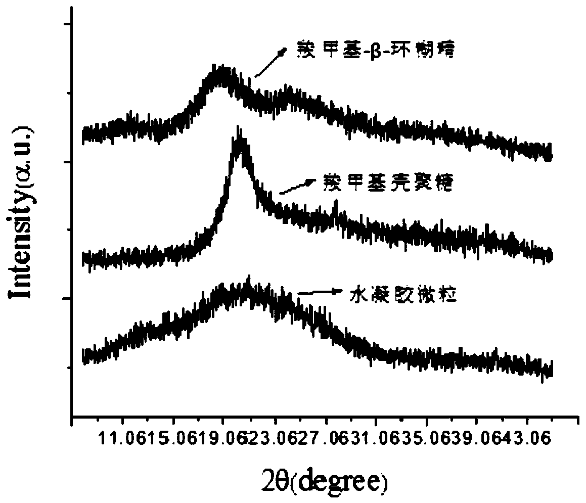 Hydrogel particle and preparation method thereof