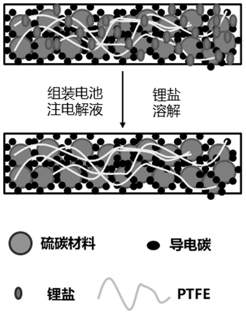 Positive pole piece for lithium-sulfur battery and preparation method of positive pole piece