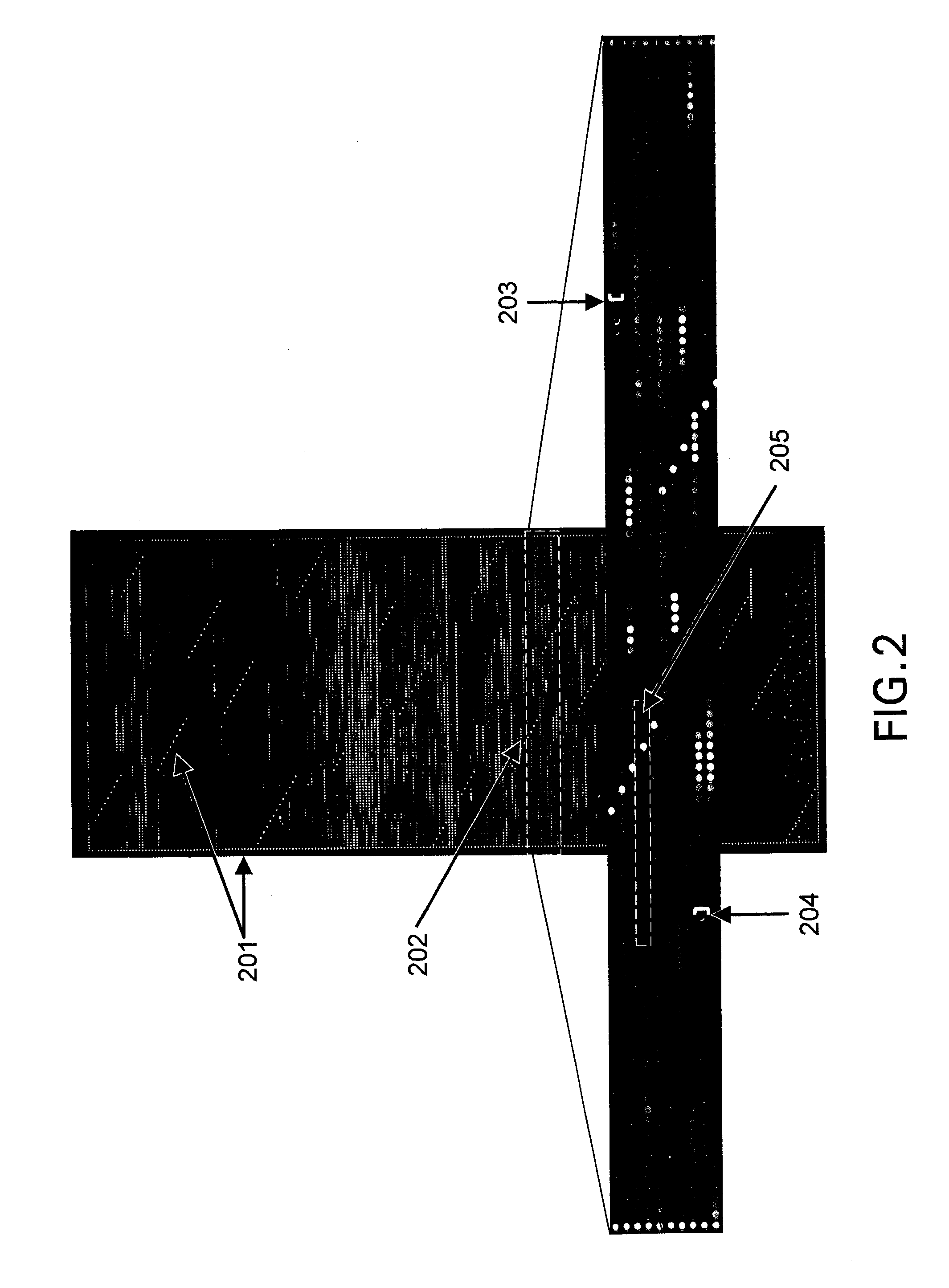 Compositions and methods for exon profiling