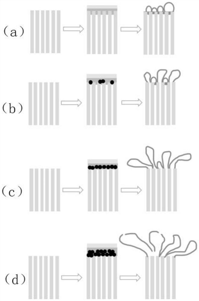 A kind of preparation method of high flux reverse osmosis membrane and obtained high flux reverse osmosis membrane