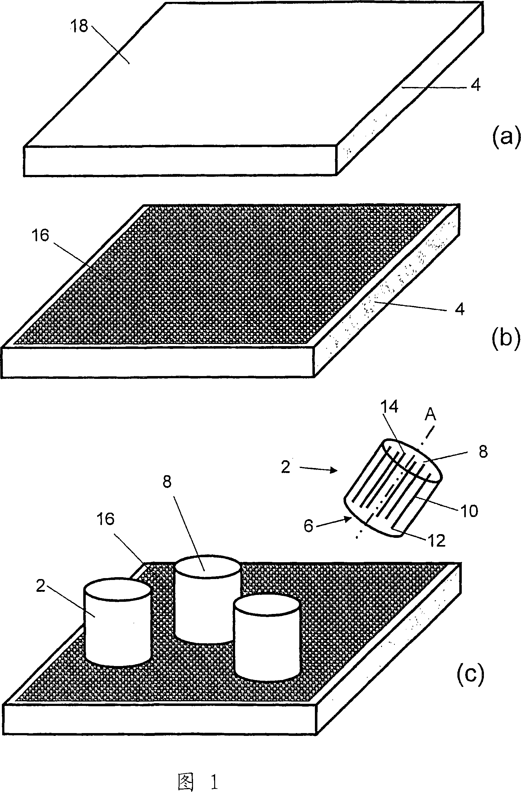 Oriented zeolite material and method for producing the same